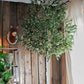 Handmade Artificial Olive Tree – 118” Tall-tbgypsysoul