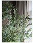 Handmade Silk Faux Olive Tree – 90.55” Tall-tbgypsysoul