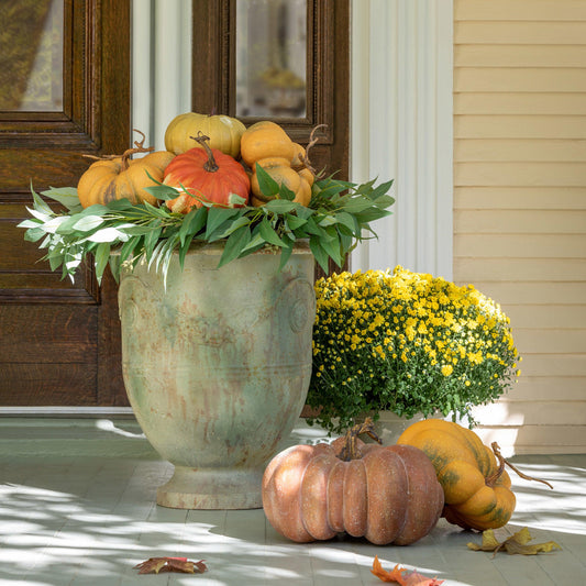 Kentucky Field Pumpkin Collection, Set of 5-Decorative Pumpkins-tbgypsysoul