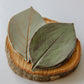 Large Leaf Dish-Ceramic-tbgypsysoul