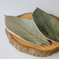 Large Leaf Dish-Ceramic-tbgypsysoul