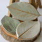 Large Leaf Dish-Ceramic-tbgypsysoul