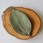 Large Leaf Dish-Ceramic-tbgypsysoul