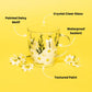 Painted Daisy Mugs-Mugs > Painted-tbgypsysoul