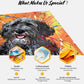 Palette Tails - Custom Pet Monet Texture Portrait-Custom Art-tbgypsysoul