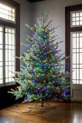 Park Hill Blue Spruce Christmas Tree, 7.5' Clear and Multi Lights-Christmas Tree-tbgypsysoul