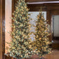 Park Hill Blue Spruce, Slim Christmas Tree, 7.5'-Christmas Tree-tbgypsysoul