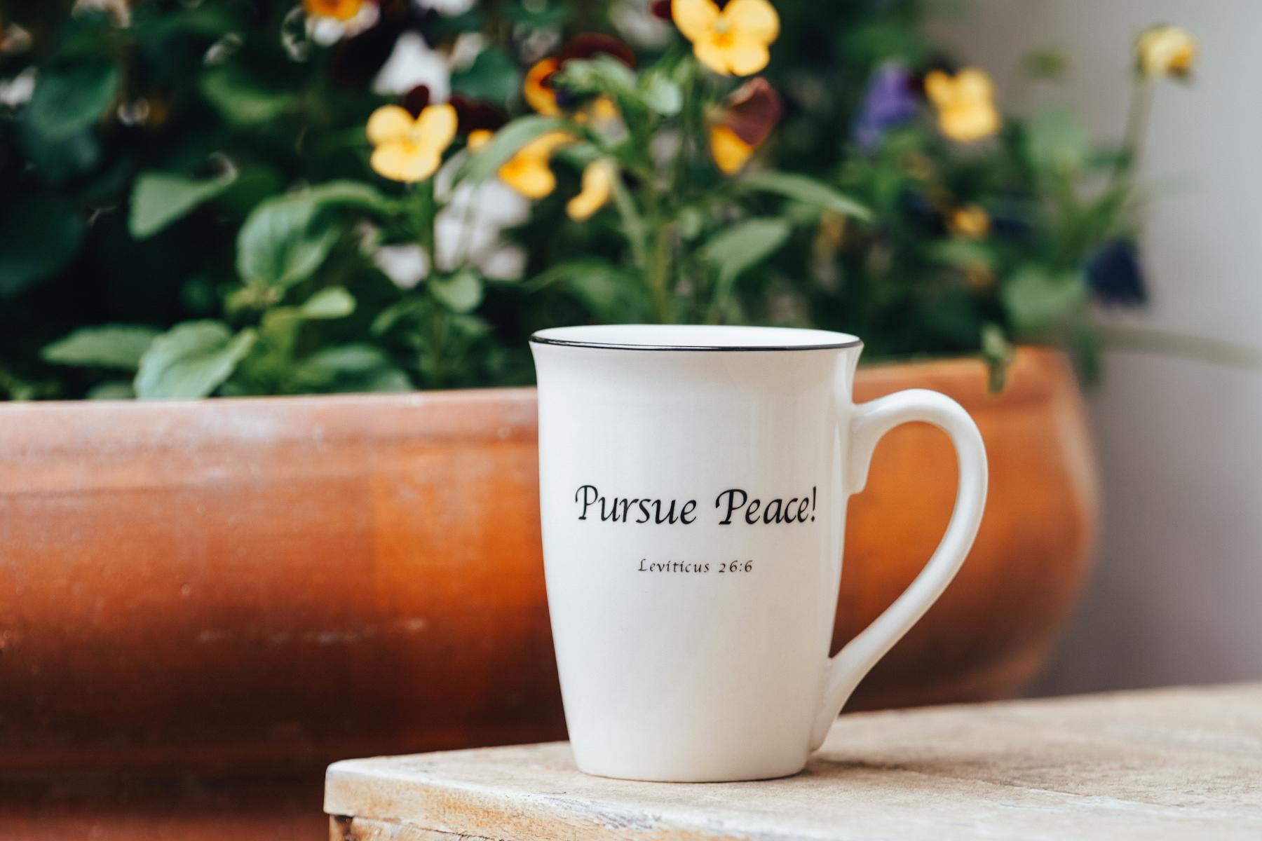 Patriotic 4-Piece Place Setting-tbgypsysoul