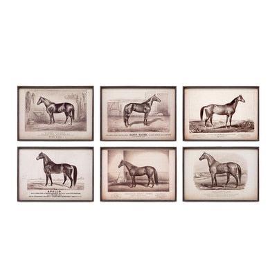 Prized Race Horse Framed Prints, Set of 6-Wall Art-tbgypsysoul