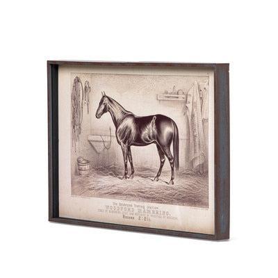 Prized Race Horse Framed Prints, Set of 6-Wall Art-tbgypsysoul