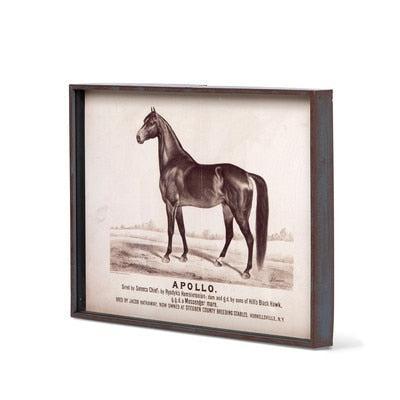 Prized Race Horse Framed Prints, Set of 6-Wall Art-tbgypsysoul