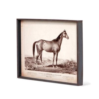 Prized Race Horse Framed Prints, Set of 6-Wall Art-tbgypsysoul