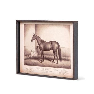 Prized Race Horse Framed Prints, Set of 6-Wall Art-tbgypsysoul