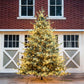 Park Hill Blue Spruce Christmas Tree, 12'-Christmas Tree-tbgypsysoul