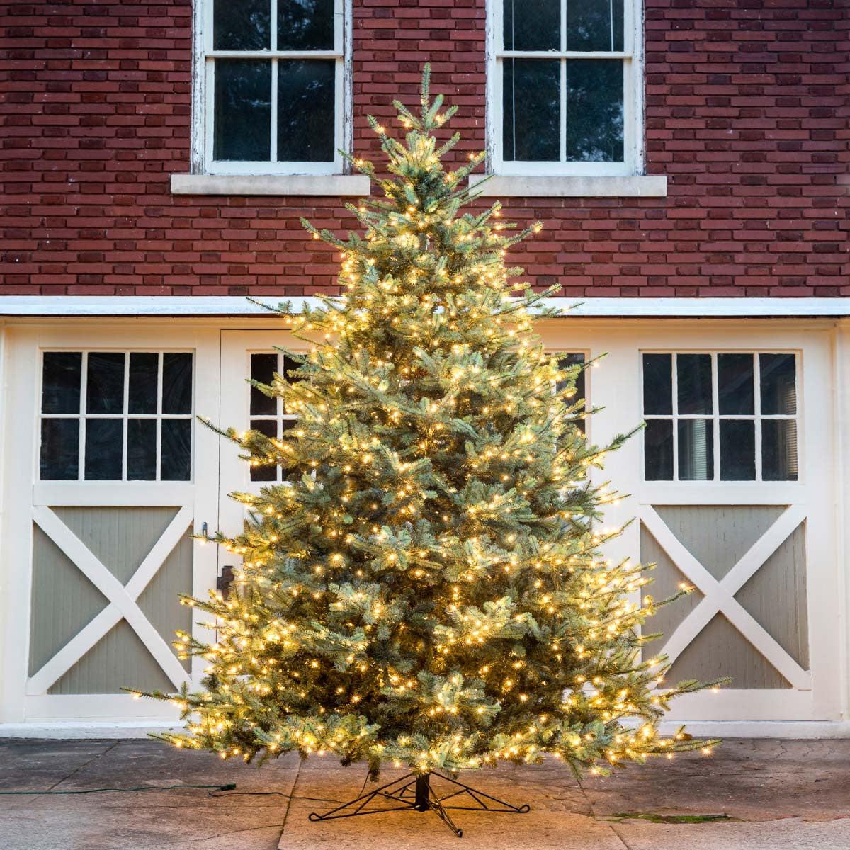 Park Hill Blue Spruce Christmas Tree, 12'-Christmas Tree-tbgypsysoul