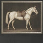 The Heirloom Equine Gallery-Wall Art-tbgypsysoul