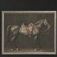 The Heirloom Equine Gallery-Wall Art-tbgypsysoul