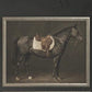 The Heirloom Equine Gallery-Wall Art-tbgypsysoul