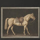 The Heirloom Equine Gallery-Wall Art-tbgypsysoul