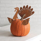 Turkey Pumpkin Decorating Picks-tbgypsysoul