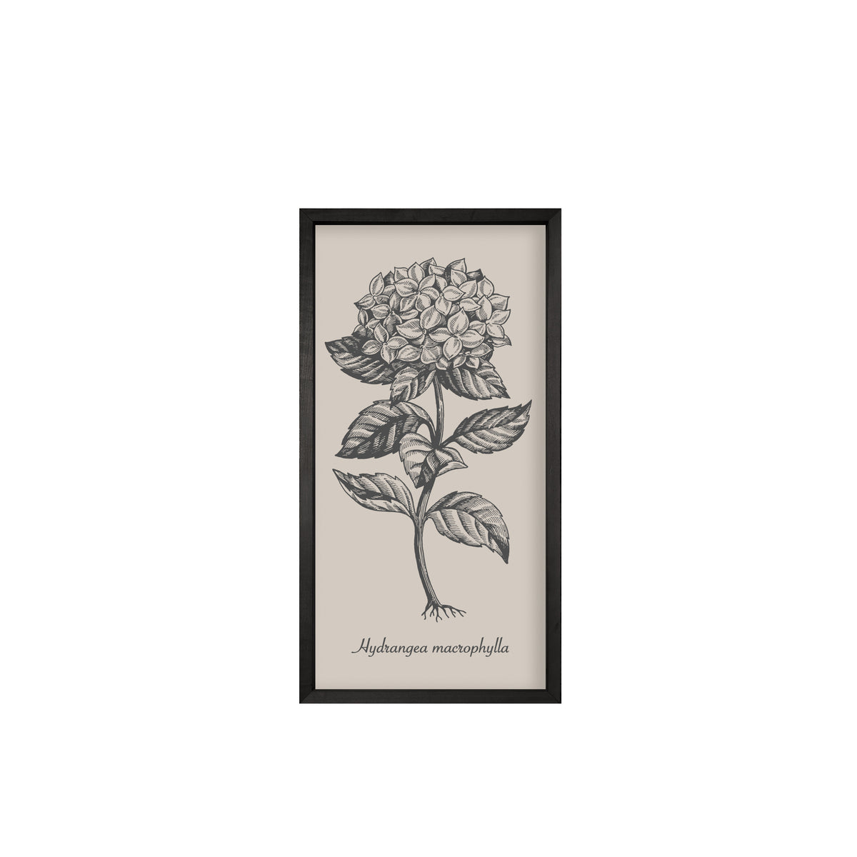 Vintage Botanicals – Set of 6 | Handmade Botanical Wall Art-Wall Art-tbgypsysoul