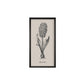 Vintage Botanicals – Set of 6 | Handmade Botanical Wall Art-Wall Art-tbgypsysoul