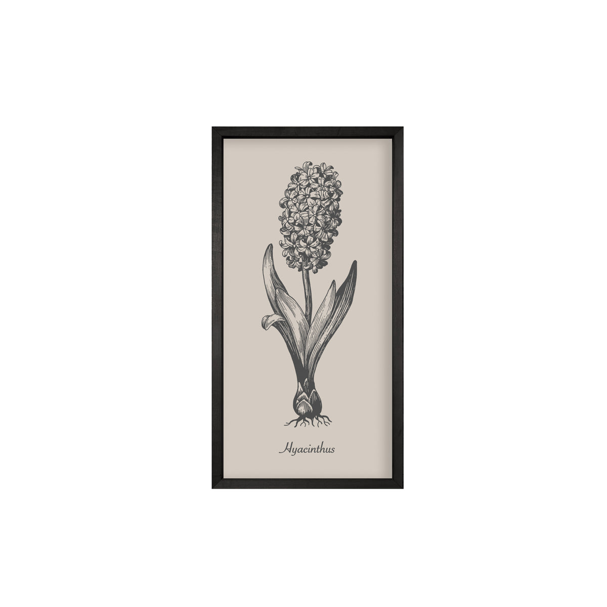 Vintage Botanicals – Set of 6 | Handmade Botanical Wall Art-Wall Art-tbgypsysoul