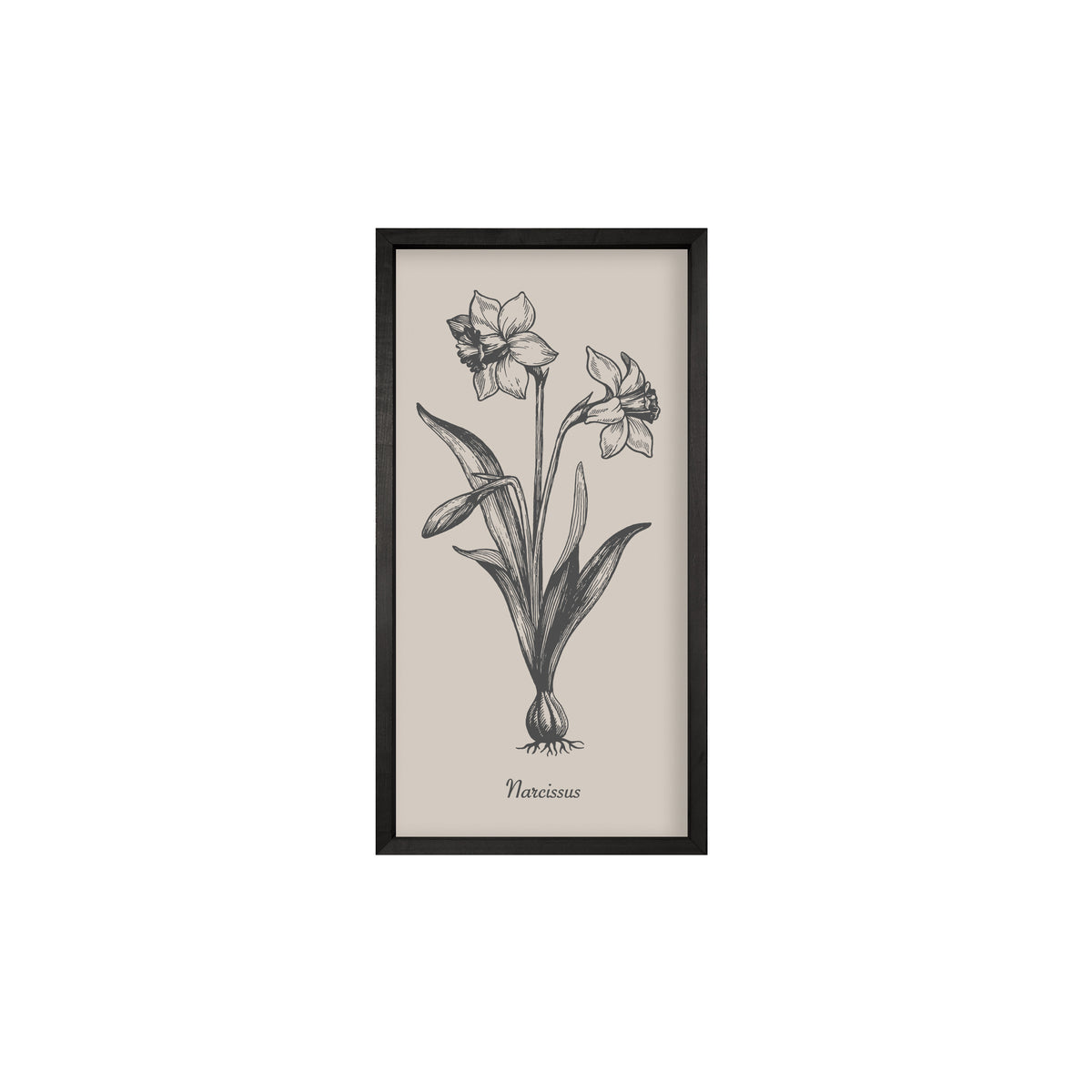 Vintage Botanicals – Set of 6 | Handmade Botanical Wall Art-Wall Art-tbgypsysoul