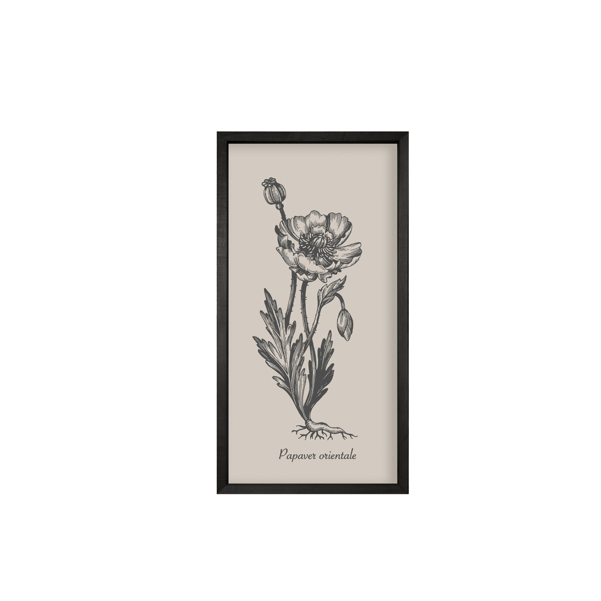 Vintage Botanicals – Set of 6 | Handmade Botanical Wall Art-Wall Art-tbgypsysoul