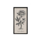 Vintage Botanicals – Set of 6 | Handmade Botanical Wall Art-Wall Art-tbgypsysoul