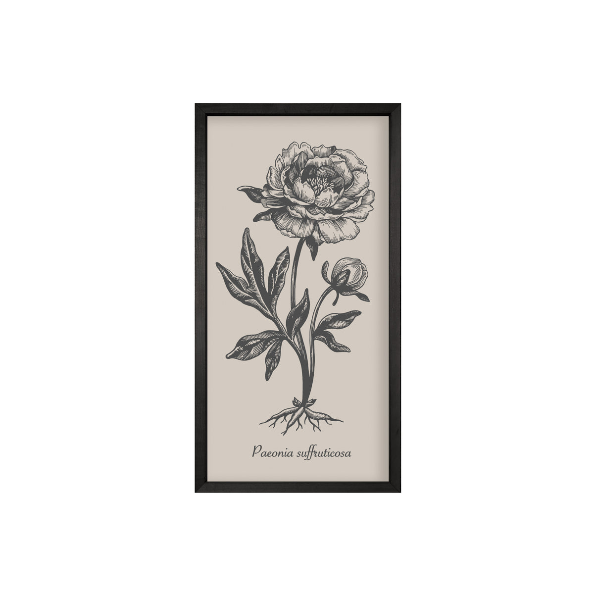 Vintage Botanicals – Set of 6 | Handmade Botanical Wall Art-Wall Art-tbgypsysoul