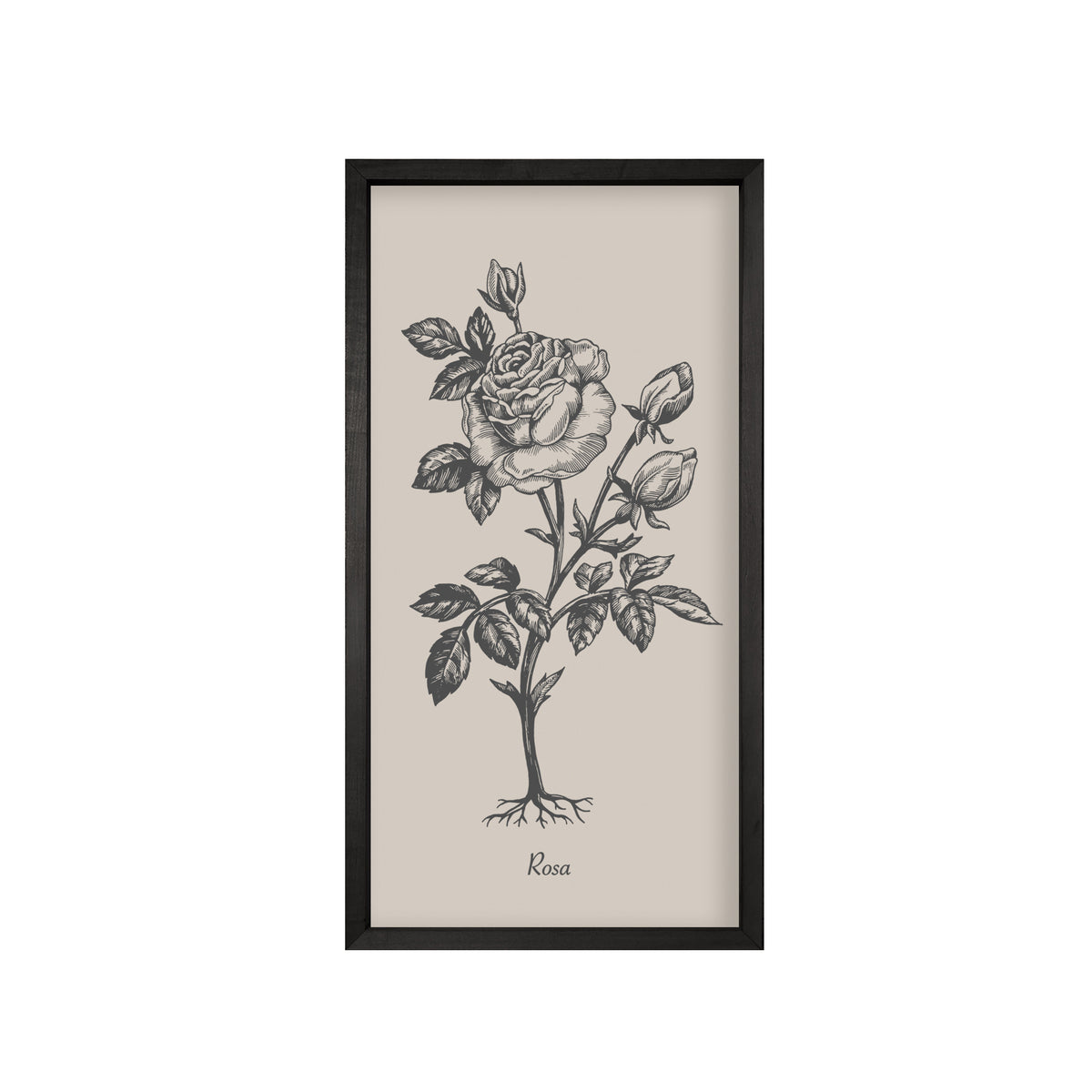 Vintage Botanicals – Set of 6 | Handmade Botanical Wall Art-Wall Art-tbgypsysoul